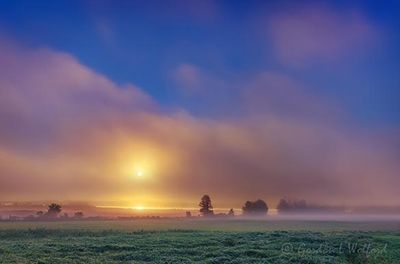 Sunrise Through Distant Fog 90D129463-7
