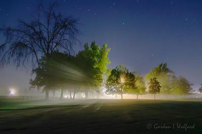 Night Fog In Lower Reach Park 90D129532-6