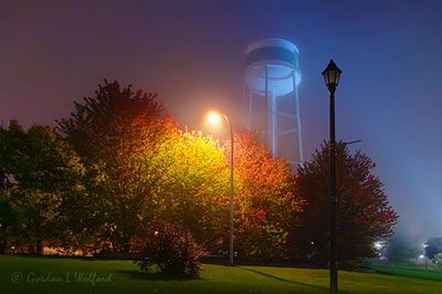 Autumn Trees On A Foggy Night 90D130332-6