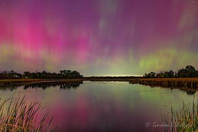 20241010 Aurora Beyond Rideau River Reflected 90D130834