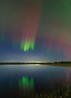 20241010 Aurora Beam Beyond Irish Creek Reflected 90D130910