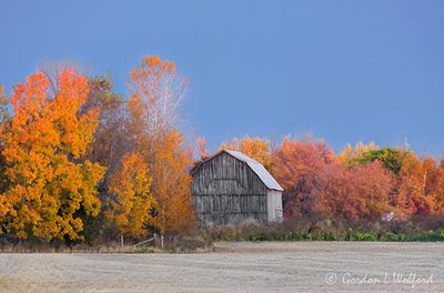 Autumn Barn 90D132054-8