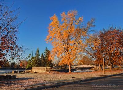 Murphy Park In Autumn DSCN015298