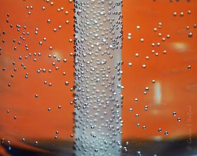 Water Bottle Bubbles DSCN015431