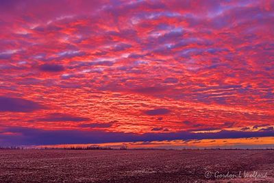 Red Sky Sunrise 90D132622