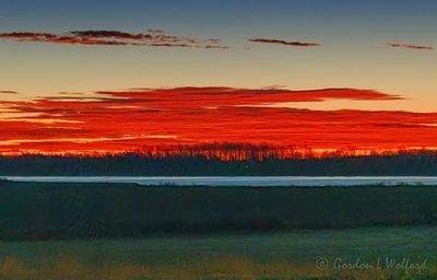 Distant Stand Of Trees In Red Dawn 90D132727-31