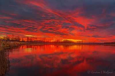 Irish Creek Sunrise Reflected 90D133292-6