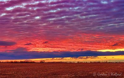 Sunrise Beyond Harvested Field 90D132592