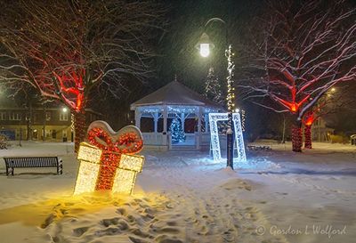 2024-25 Celebration Of Lights 90D133991-5