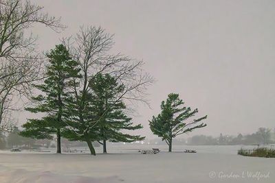 Lower Reach Park At Night In Snowstorm 90D134354