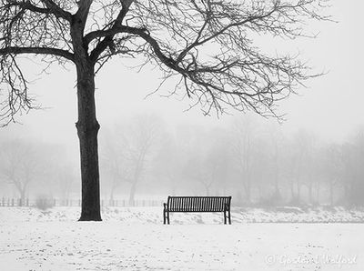 Bench On A Foggy Morning DSCN016543