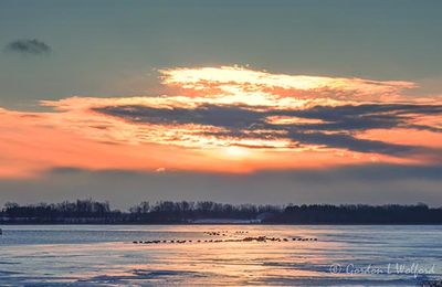 Clouded Sunrise Beyond Geese On Ice DSCN016656