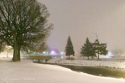 Turtle Island On A Foggy Night 90D134449