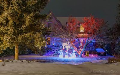 Holiday Lights 90D135265-9