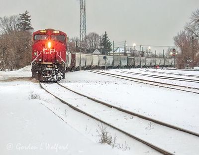 CPKC Freight Train Of Hopper Cars DSCN017945