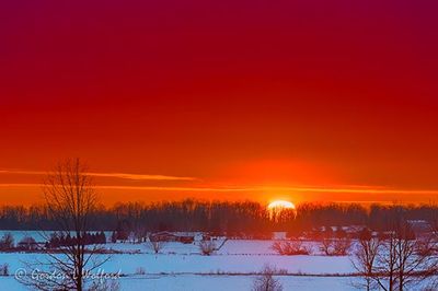 Sunrise Beyond Frozen Rideau Canal 90D138358-62