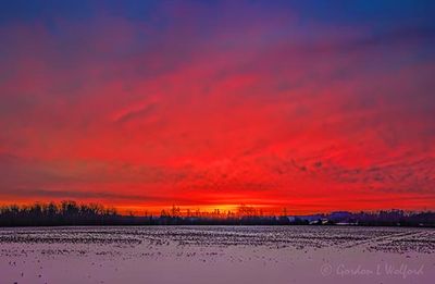 Sunrise Beyond Winter Field 90D138964