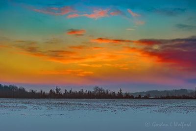 Winter Sunrise 90D139998