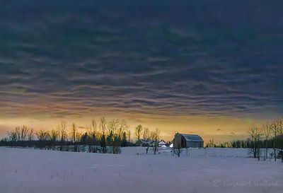 Night Glow Beyond Winter Farm 90D142686