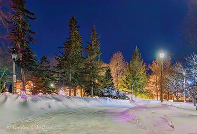 Confederation Drive Snowbanks At Night 90D141798