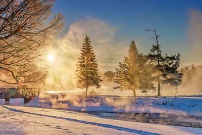 Turtle Island In Steam Fog 90D143128