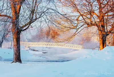 Duck Island Footbridge In Steam Fog 90D143116