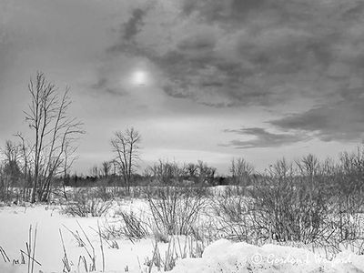 Weak Sun Beyond Frozen Hutton Creek DSCN019096