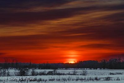 Clouded Sunrise Beyond Winter Field 90D146472