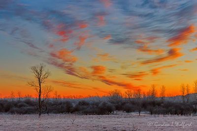 Sunrise Clouds Beyond Lone Tree 90D149626