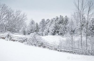 Winter Wonderland In April 90D150126