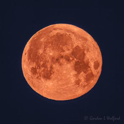 2025 April Pink Moon DSCN021544