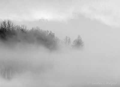 Black & White Gallery