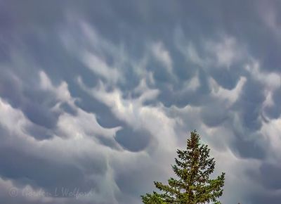 Skyscapes