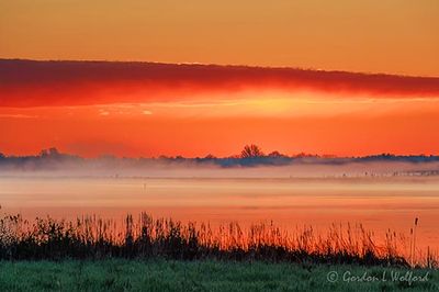 Sunrise Beyond Misty Rideau Canal 90D155918