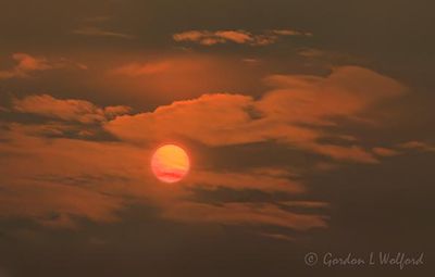 Sun Gallery