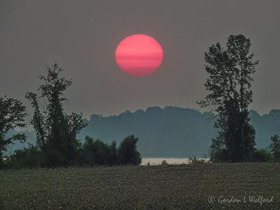 Sun Gallery