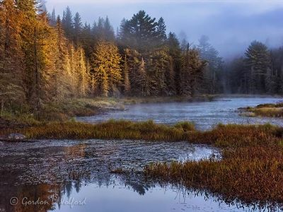 Algonquin Park Marsh at Sunrise PICT5928v2
