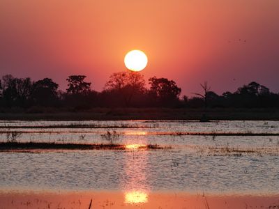 Sunset 962