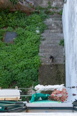 DD4A2679.jpg