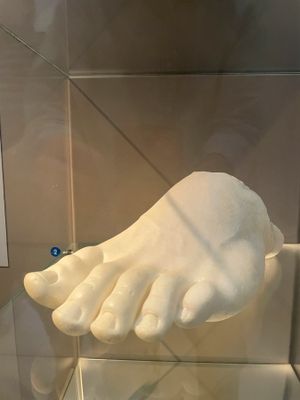 IMG_9890.jpg