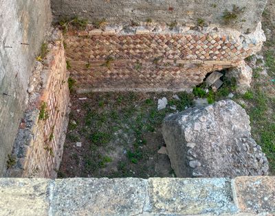 IMG_9919.jpg