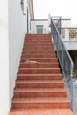 DD4A2435.jpg