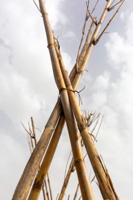 DD4A2415.jpg