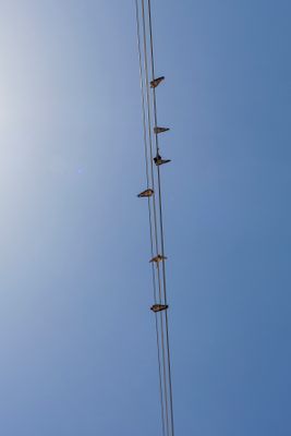 DD4A2500.jpg