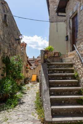 DD4A2559.jpg