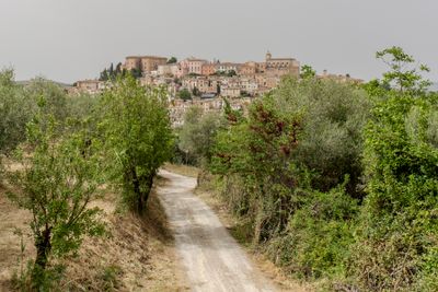 DD4A2358.jpg