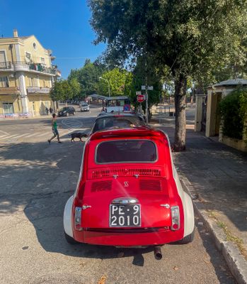 g13/75/560475/3/175510789.d06d6ddf.JPEG