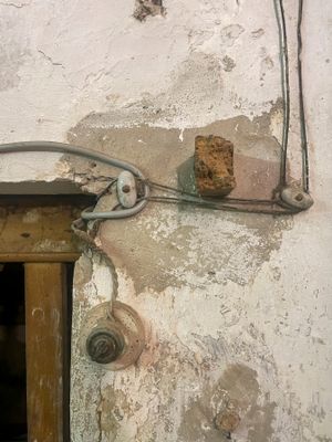 IMG_9846.jpg