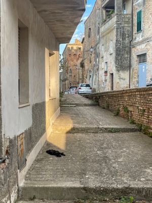 IMG_0090.jpg