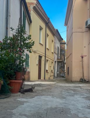 IMG_9462.jpg